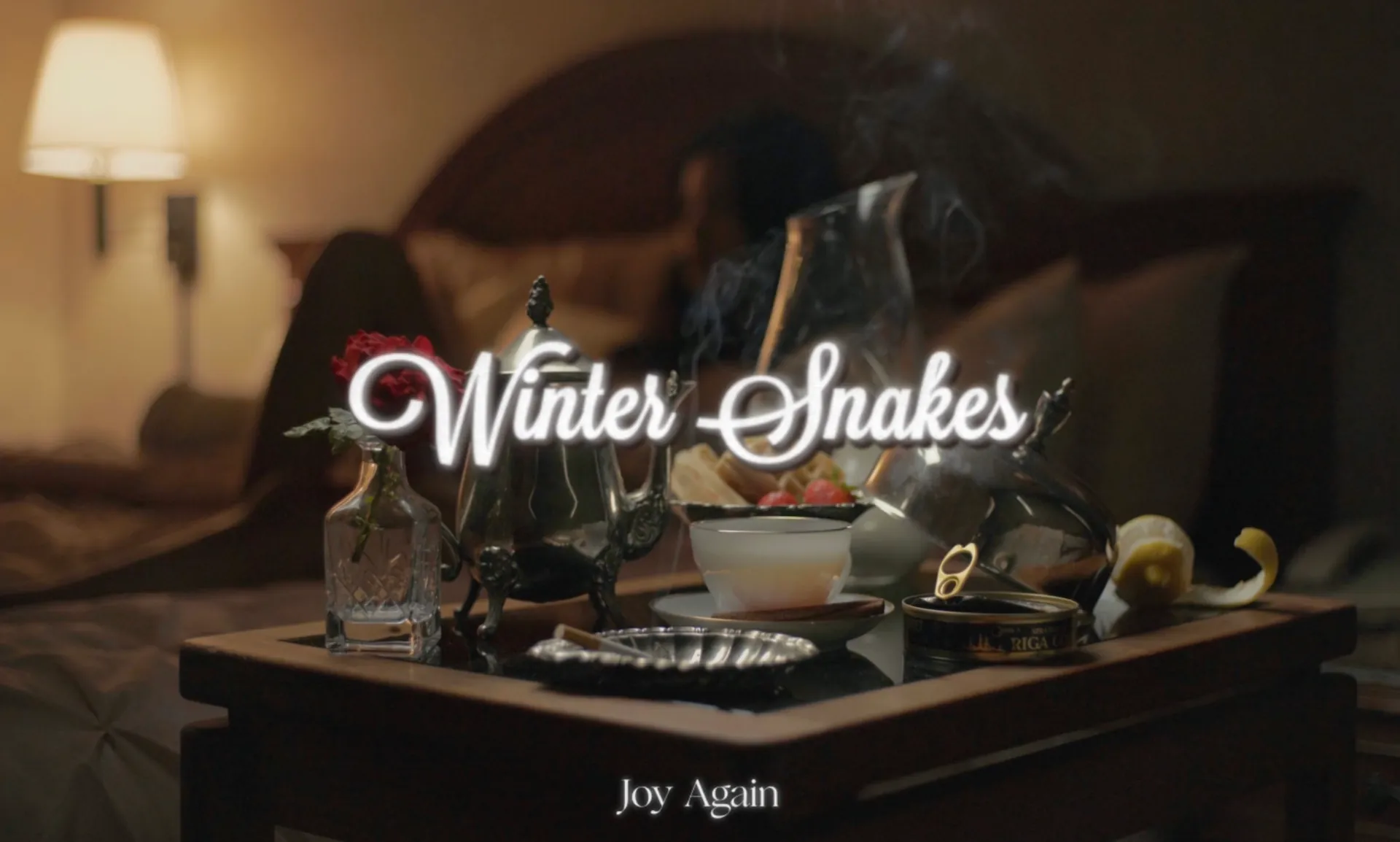 Winter Snakes